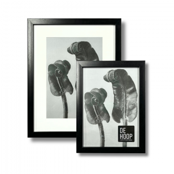 Basics Square Frame