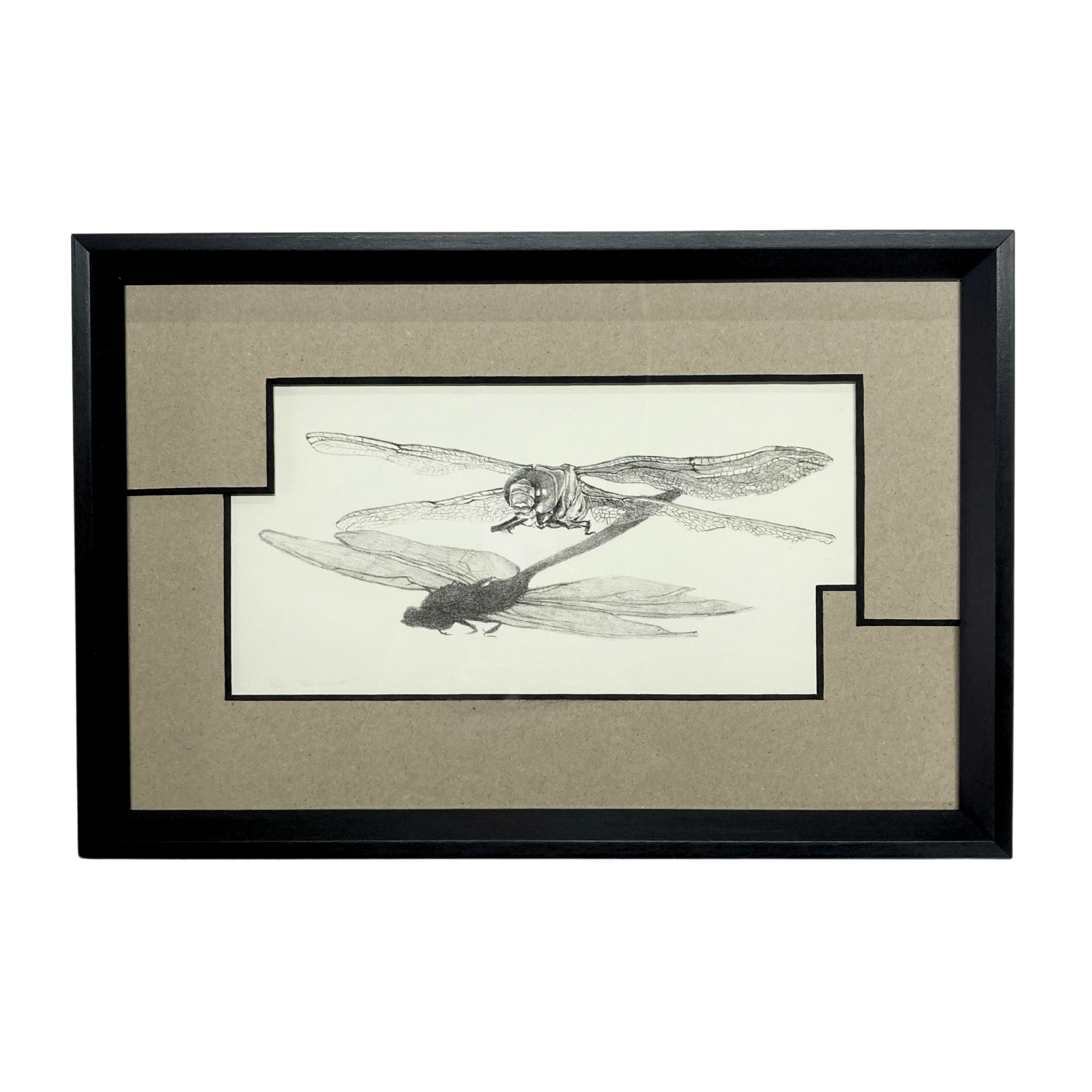 Framed Art | Dragonfly Sketch - Image 2