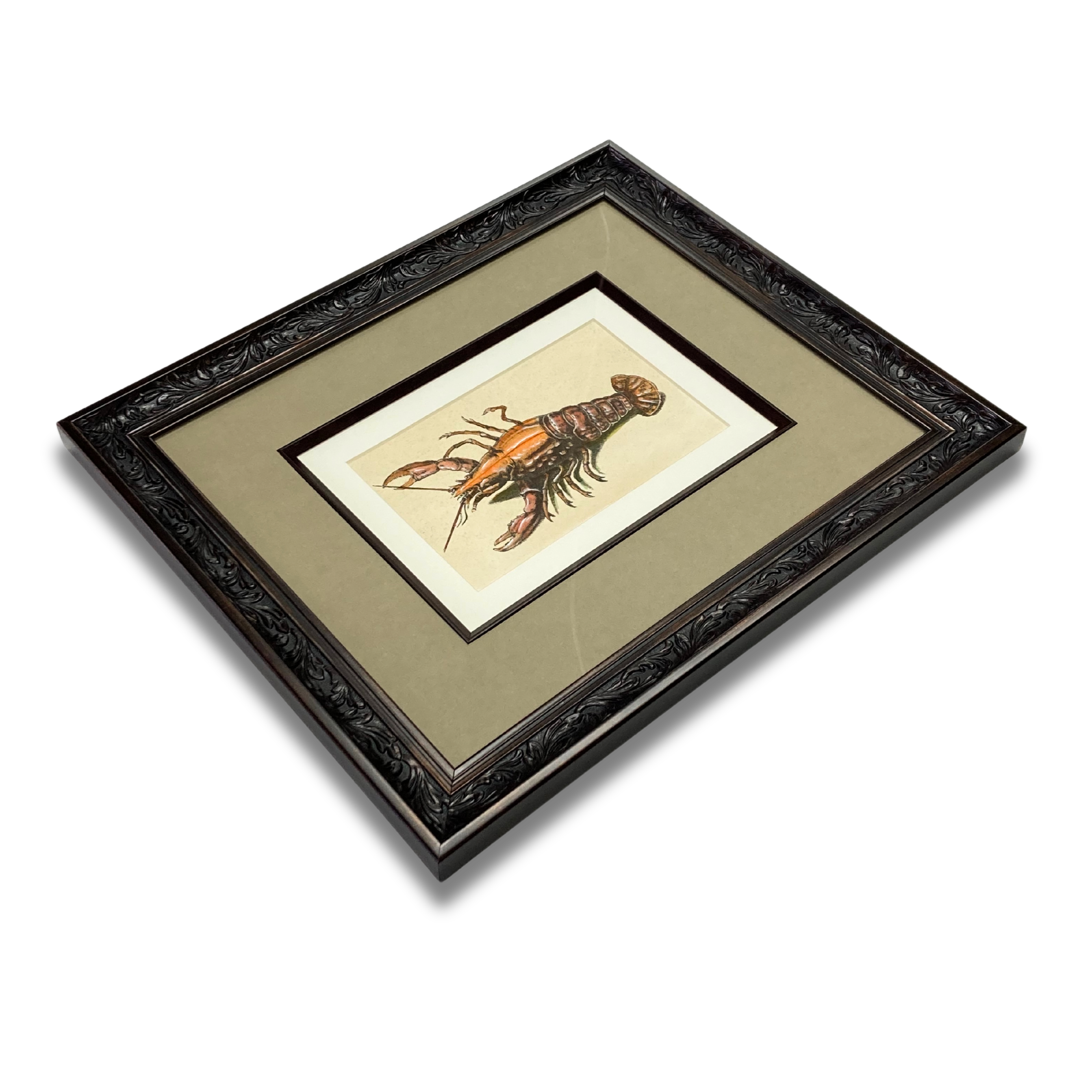 Framed Print | Fancy Lobster
