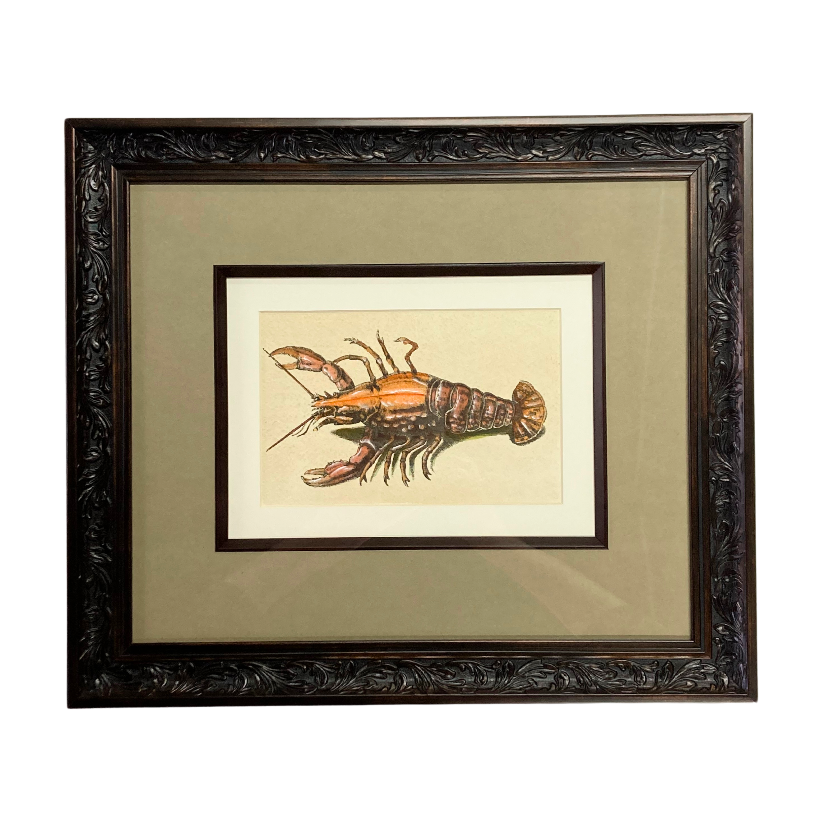 Framed Print | Fancy Lobster - Image 2